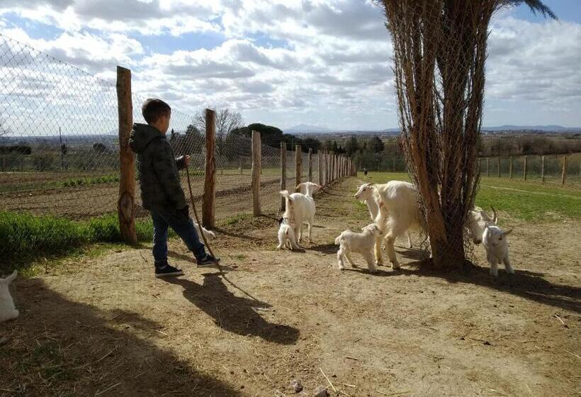 4인용 스탠다드 룸, Agriturismo Fattoria Podere Peciano