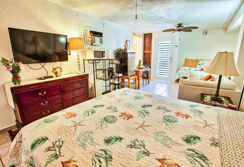 استودیوی استاندارد, Coconut Palms Inn