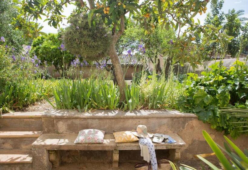 Апартаменты 1 Спальня, Agroturismo Es Pla De Llodrá