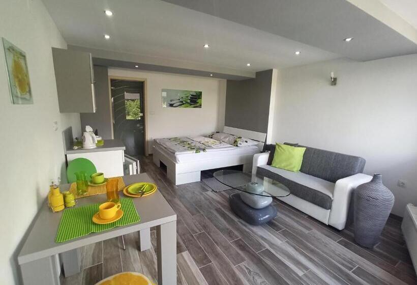 اتاق استاندارد, Apartments Skok