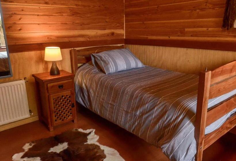 싱글 기본룸, Hostal Pucon Sur
