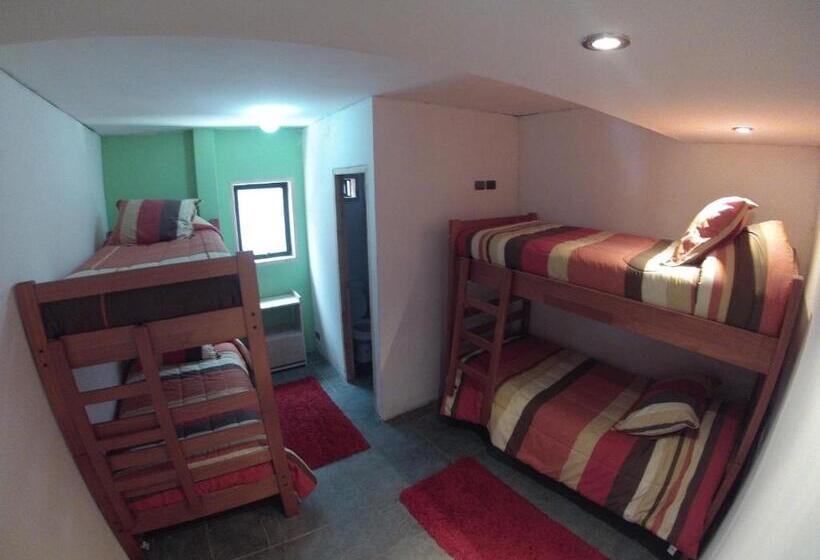 4인용 스탠다드 룸, Pucontours Hostal   Hostel