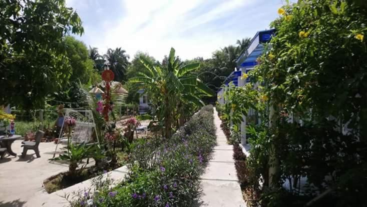 اتاق اکونومی, Nostress Guest House