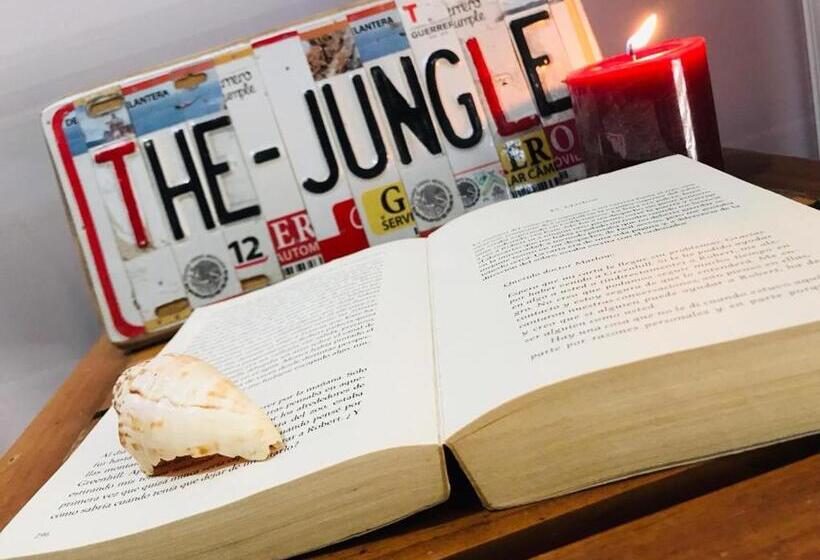 经典四人房间, The Jungle Container