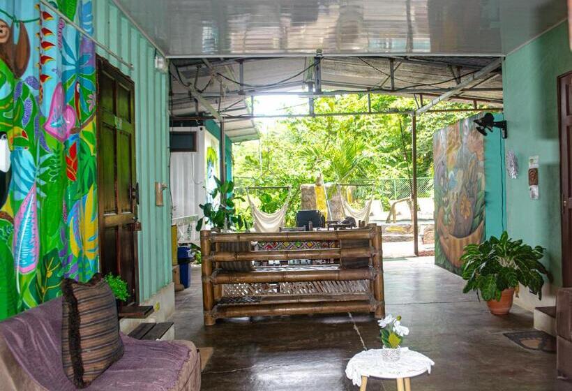 经典四人房间, The Jungle Container