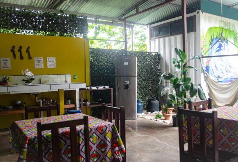 带共用浴室的标准房间, The Jungle Container