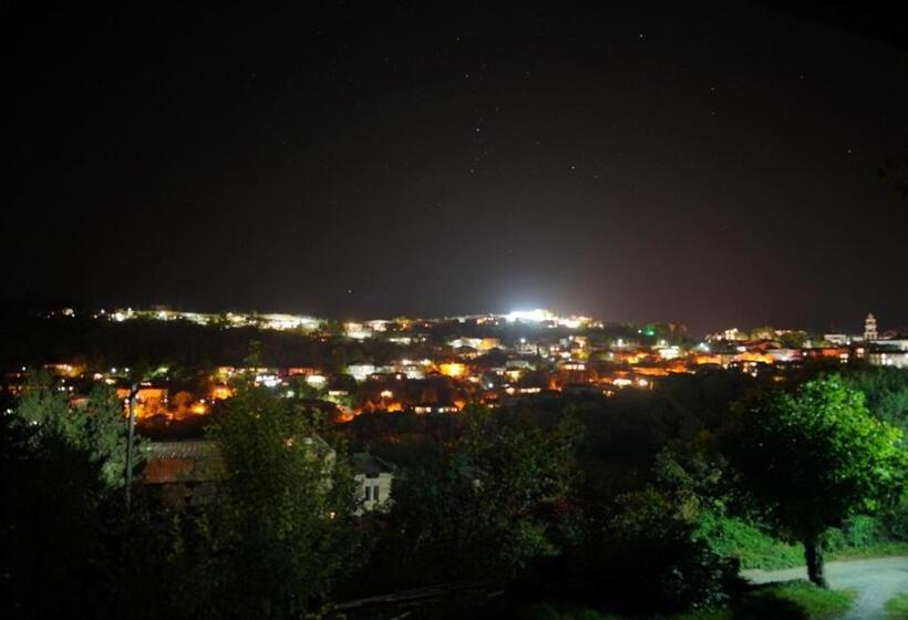 اتاق استاندارد, Guest House Maradona