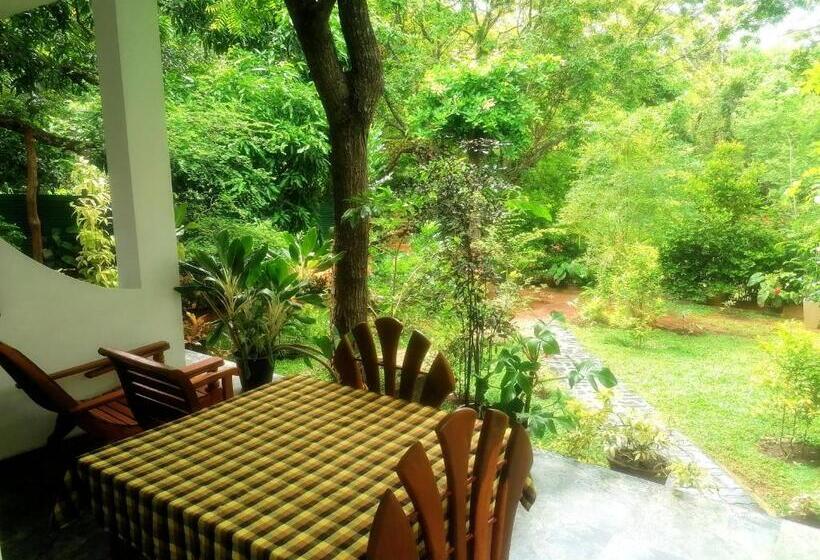 Номер Deluxe, The Cattleya Guest House Sigiriya