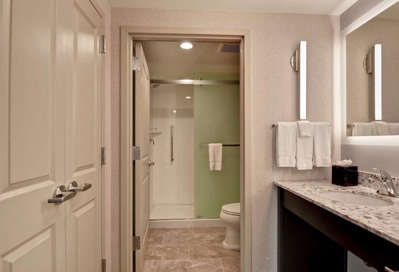 Люкс 2 Спальни, Homewood Suites By Hilton Poughkeepsie