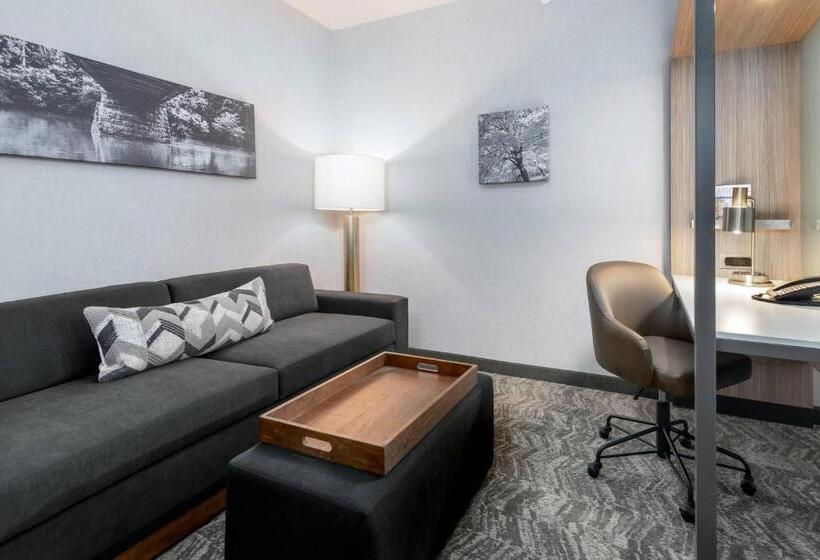 Люкс Кровать Кинг, Springhill Suites By Marriott Indianapolis Westfield