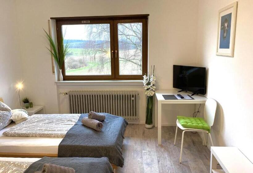 스탠다드 룸, Pension Am Hohberghof Dielheim