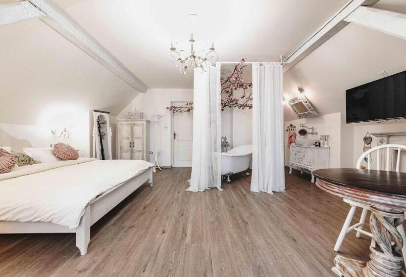 Люкс Повышенной Комфортности, Resort Mlýn černovice