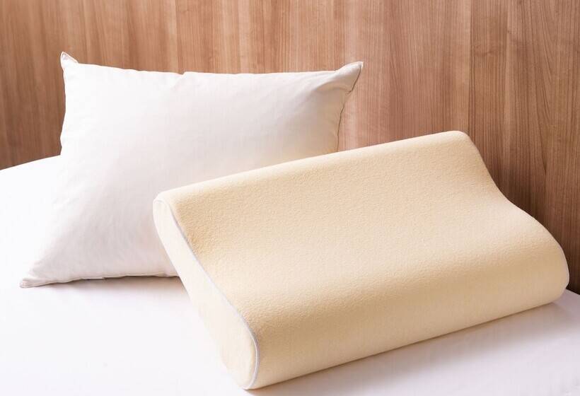 이코노미 룸, Art Hotel Aomori