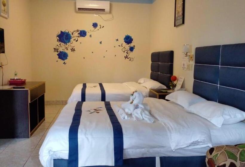 Standard Room, Sunshine View Hotel And Restaurant