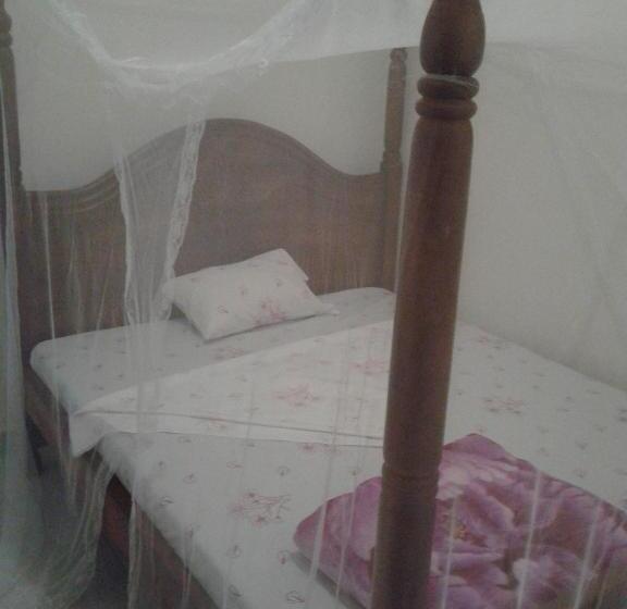 اتاق استاندارد یک نفره, Freedom Guest House
