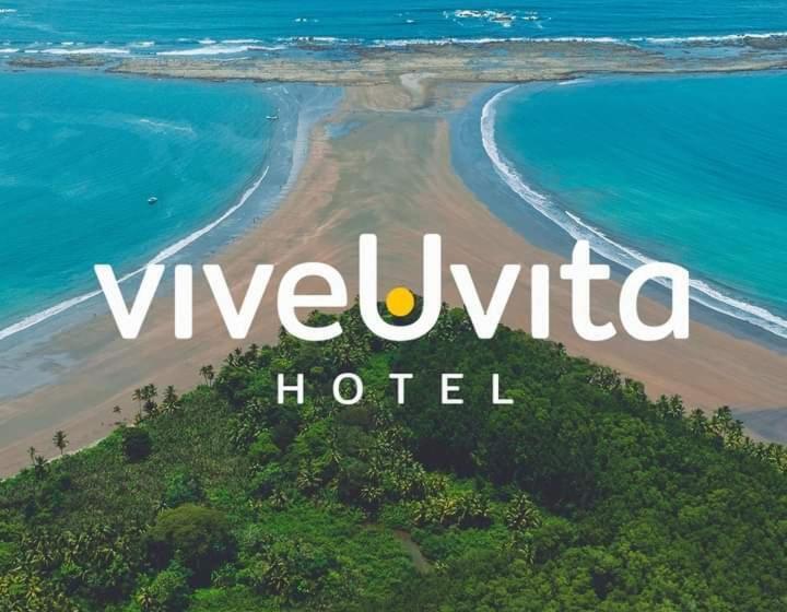 标准间, Vive Uvita