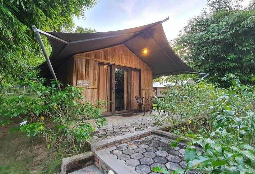 Standard Tent, Dbambookamp Desa Wisata Ekang