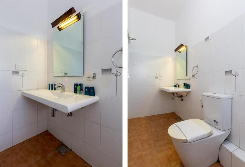 Quarto Estandar, Royal Mount