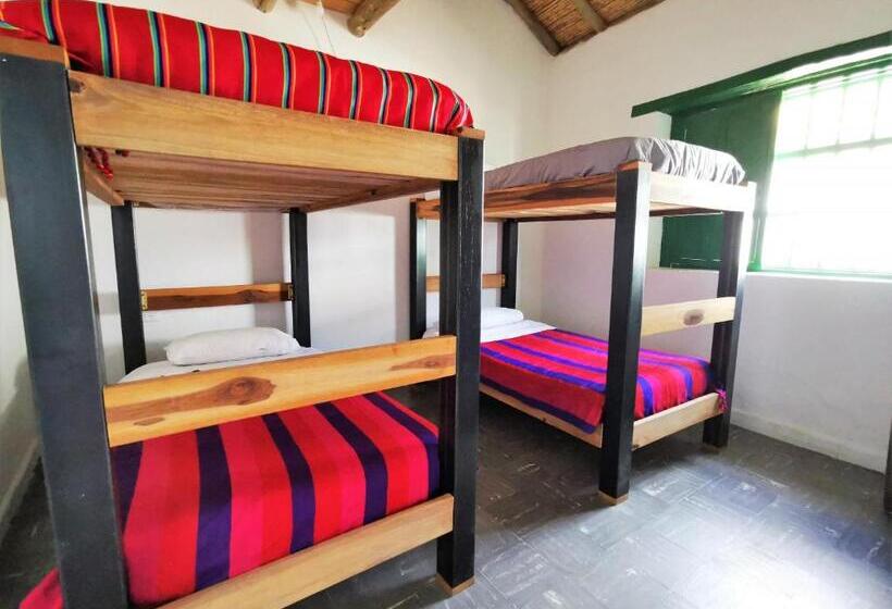 ルームシェアのワンベッド, Hostel Once Once