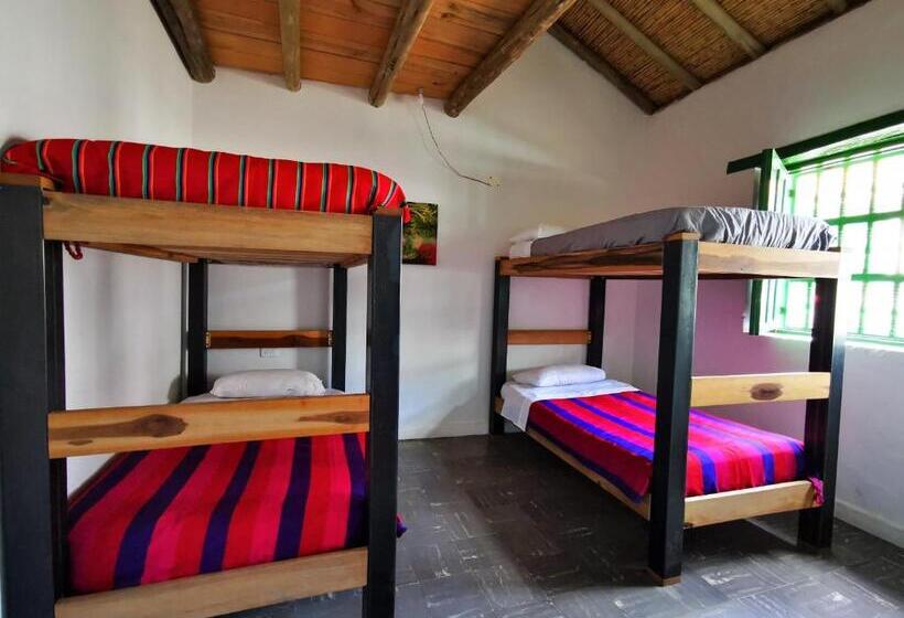 Кровать в Общей Комнате, Hostel Once Once