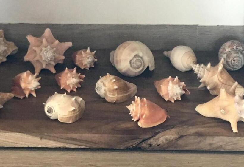 침실 1개 수피리어 아파트, La Caracola