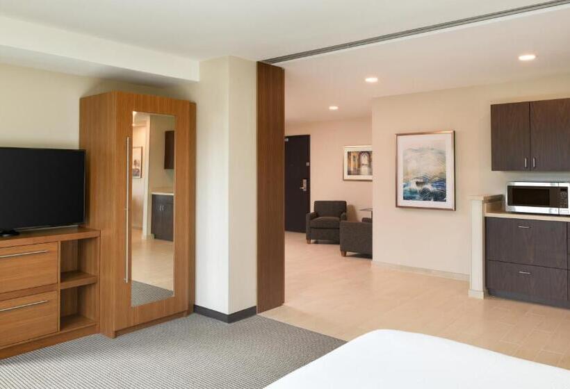 Suíte Cama King, Hyatt Place Pasadena