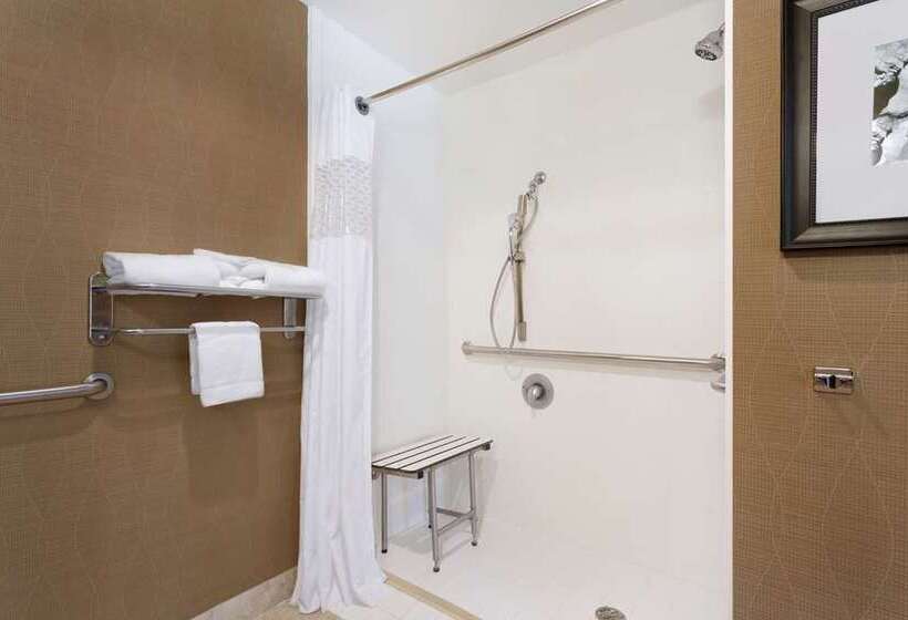 Стандартный Номер Кровать Кинг, Hampton Inn & Suites Snellville Atlanta Ne