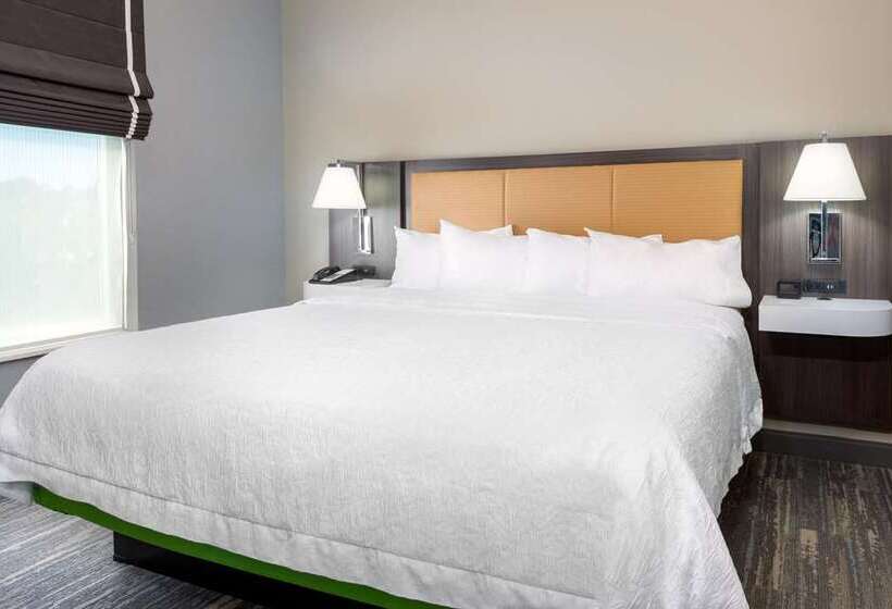 Номер Стандарт, Hampton Inn & Suites Snellville Atlanta Ne