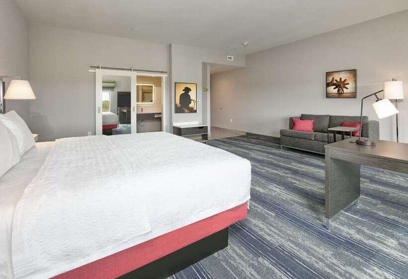 Стандартный Номер Кровать Кинг, Hampton Inn & Suites Snellville Atlanta Ne