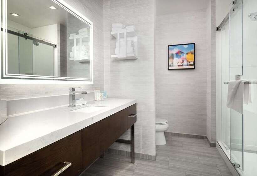 Стандартный Номер Кровать Кинг, Hampton Inn & Suites Snellville Atlanta Ne