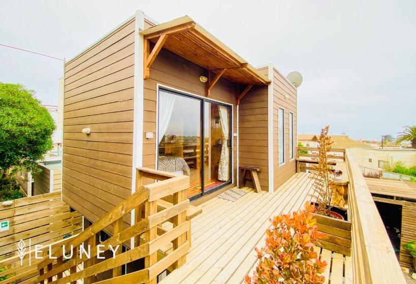 Апартаменты 1 Спальня с Террасой, Eluney Pichilemu