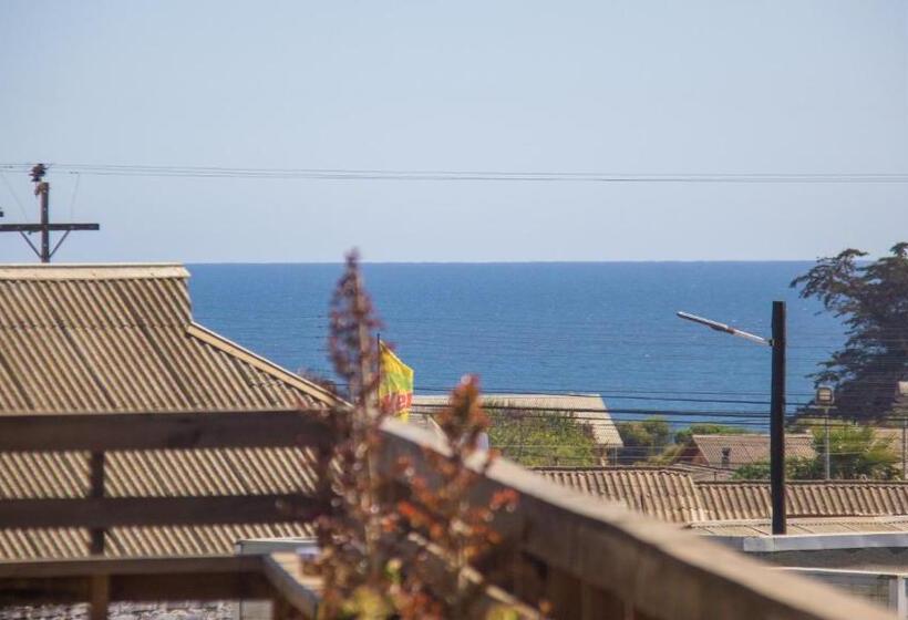 Апартаменты 1 Спальня с Террасой, Eluney Pichilemu
