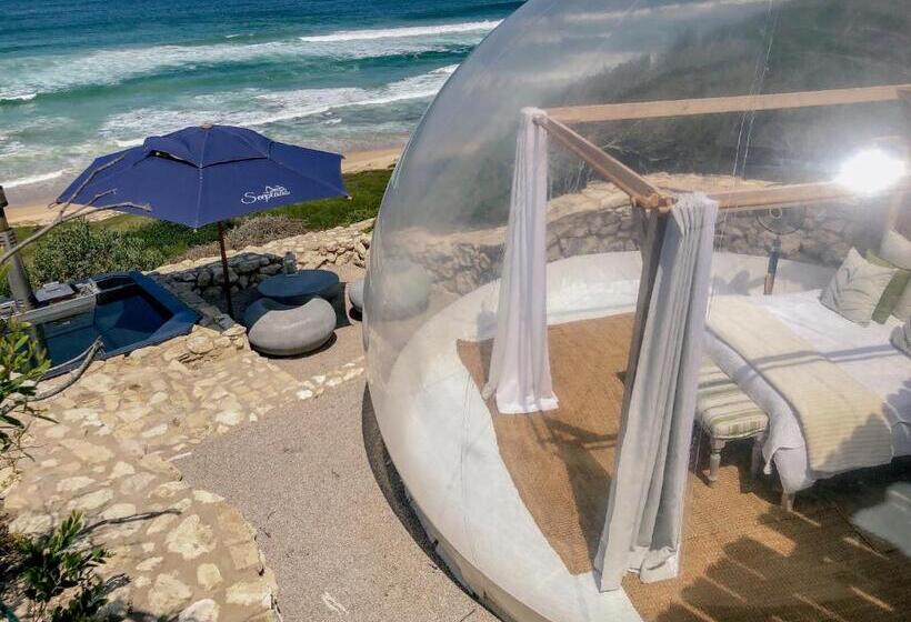 Premium Tent, Seeplaas Guesthouse