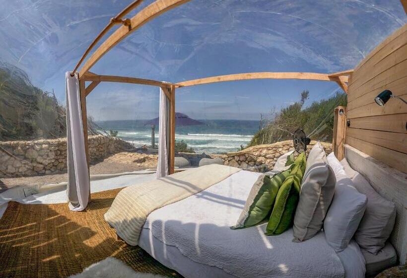 Premium Tent, Seeplaas Guesthouse