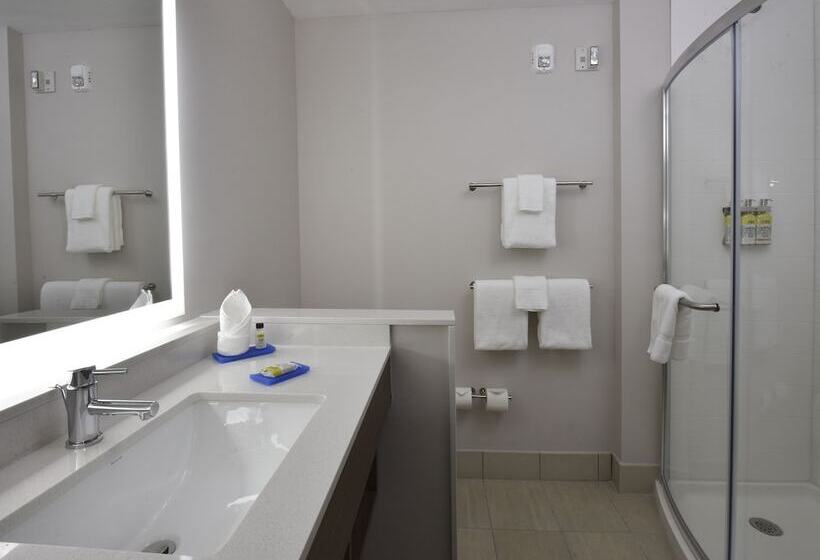 套房, Holiday Inn Express & Suites   Orlando   Southeast, An Ihg