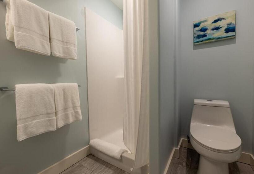 Студия Стандарт, The Water Street Inn