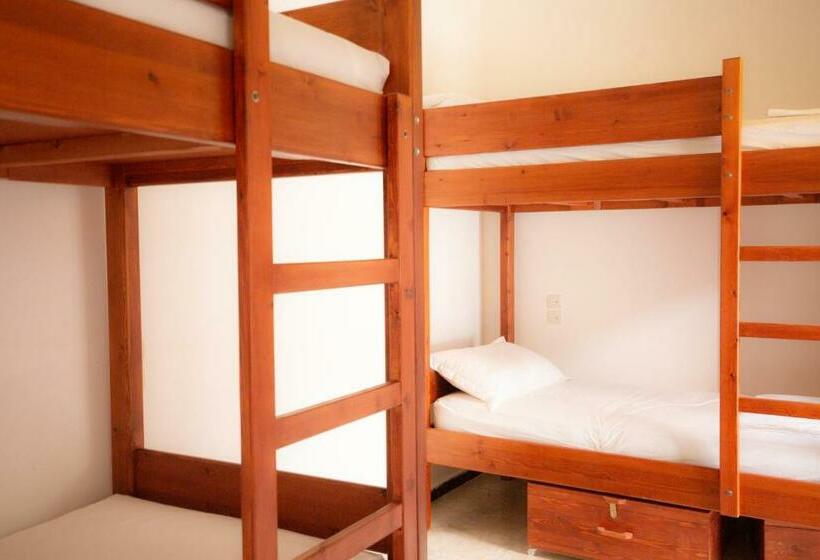 Bed in Shared Room, Mosaic Hostel
