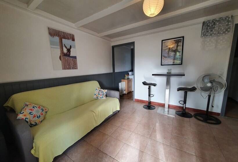 Студия Стандарт, Bungalows Filippi