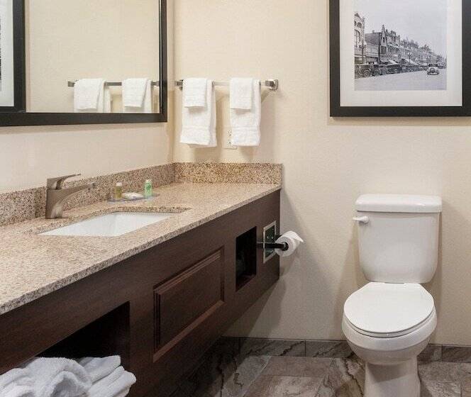 스탠다드 스튜디오, Cobblestone Hotel & Suites Appleton International Airport