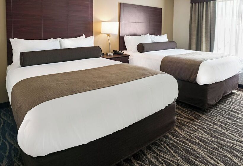 스탠다드 스튜디오, Cobblestone Hotel & Suites Appleton International Airport