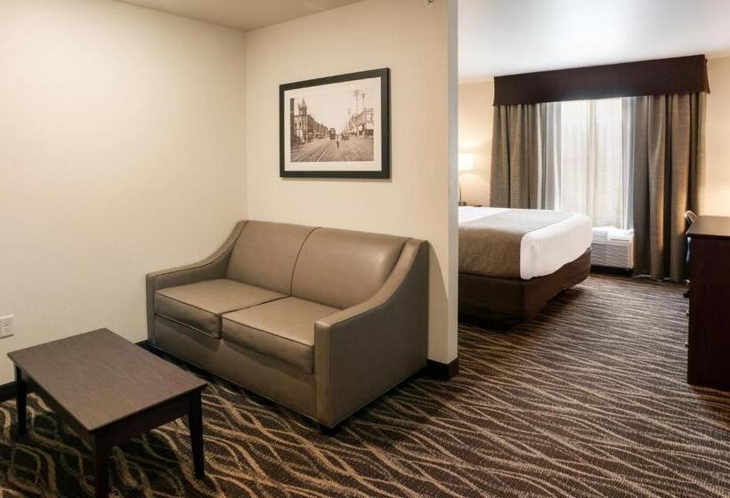 استودیو استاندارد با تخت کینگ, Cobblestone Hotel & Suites Appleton International Airport