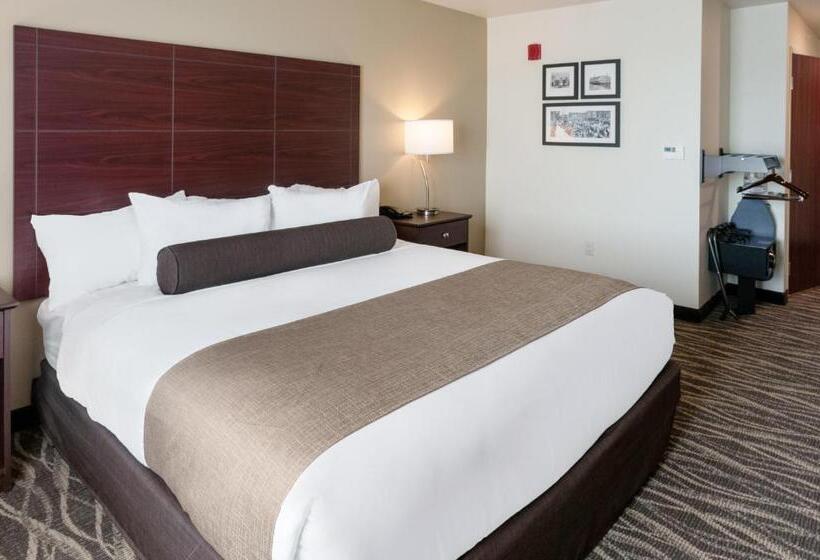 장애인을 위한 킹사이즈 침대 스탠다드 룸, Cobblestone Hotel & Suites Appleton International Airport