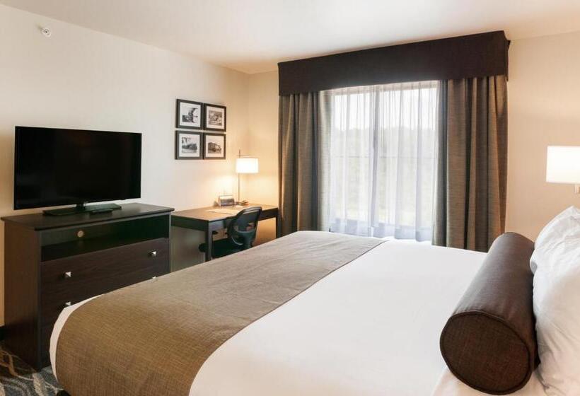 스탠다드 룸 킹사이즈 침대, Cobblestone Hotel & Suites Appleton International Airport