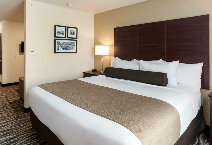 스탠다드 스튜디오 킹침대, Cobblestone Hotel & Suites Appleton International Airport