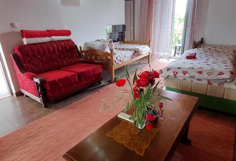Quarto Quádruplo Estandar, Airport Home Radinovic