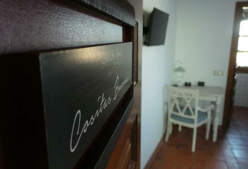 اتاق عادی یک تخته, Entre Dos Aguas Hotel Boutique