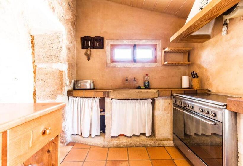 テラス付きスタンダードワンルーム, Finca Agroturismo Sa Cova Den Borino