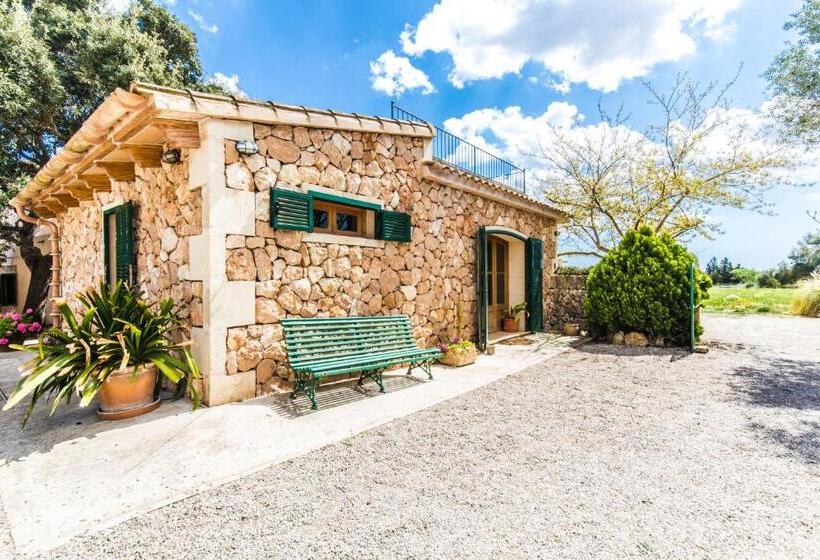 テラス付きスタンダードワンルーム, Finca Agroturismo Sa Cova Den Borino