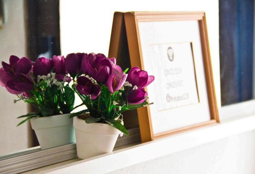 اتاق استاندارد, Roomin Hostel