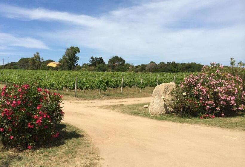 Студио Стандарт Вид на Сад, Agriturismo Campesi Casale Tra Le Vigne